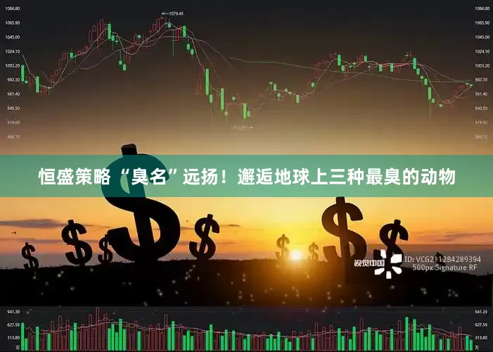 恒盛策略 “臭名”远扬！邂逅地球上三种最臭的动物