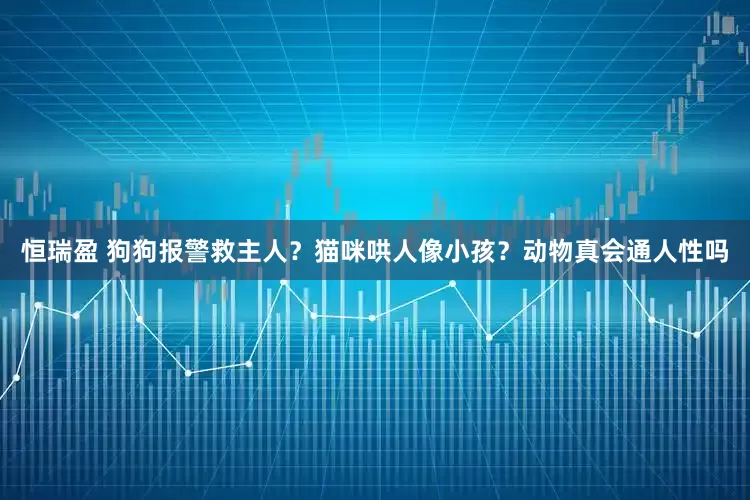 恒瑞盈 狗狗报警救主人？猫咪哄人像小孩？动物真会通人性吗