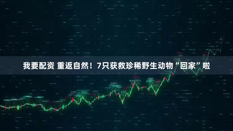 我要配资 重返自然！7只获救珍稀野生动物“回家”啦