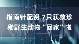 指南针配资 7只获救珍稀野生动物“回家”啦